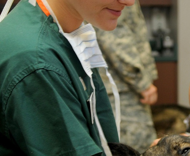 veterinarian comforting dog at clinic